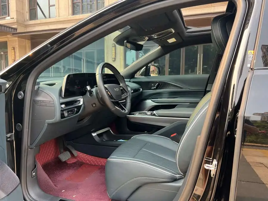 IQ Rigo 2022 Rear-wheel Drive Long Range Premium Version