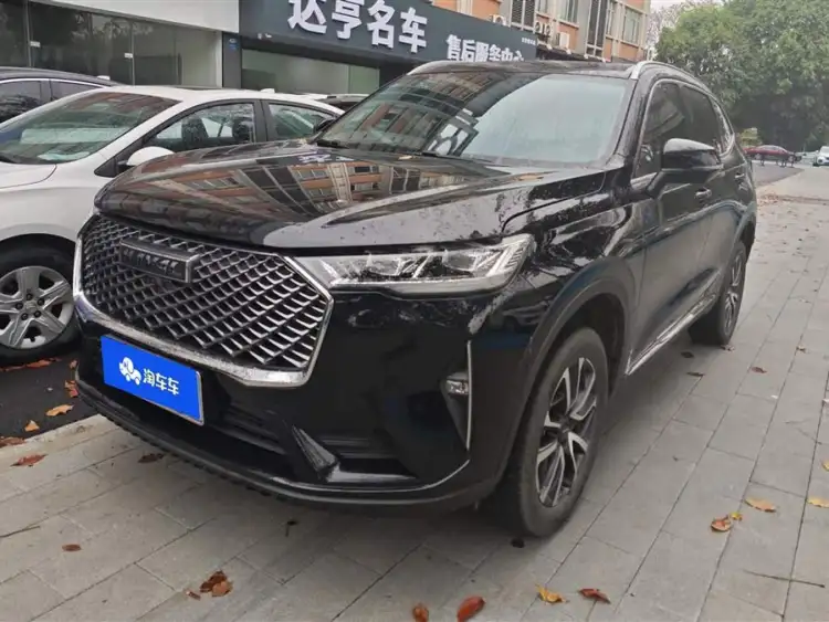 Haval H6 2021 Model Third Generation 1.5T Automatic Two-Wheel Drive Pro