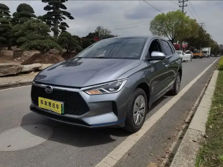 BYD e2 2021 Comfort Version