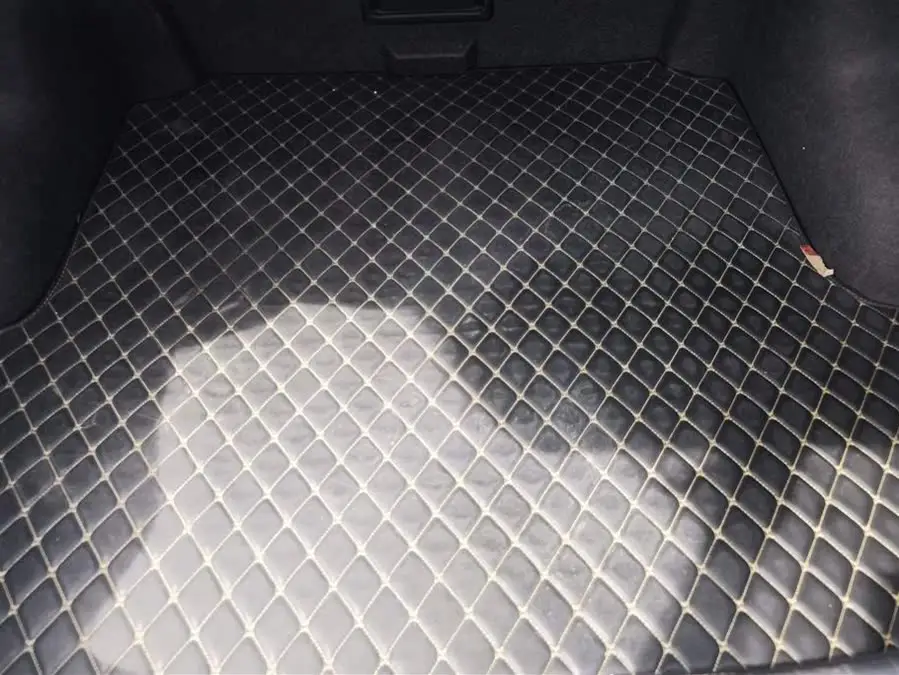 Tianlai 2021 2.0L XL Comfort Version