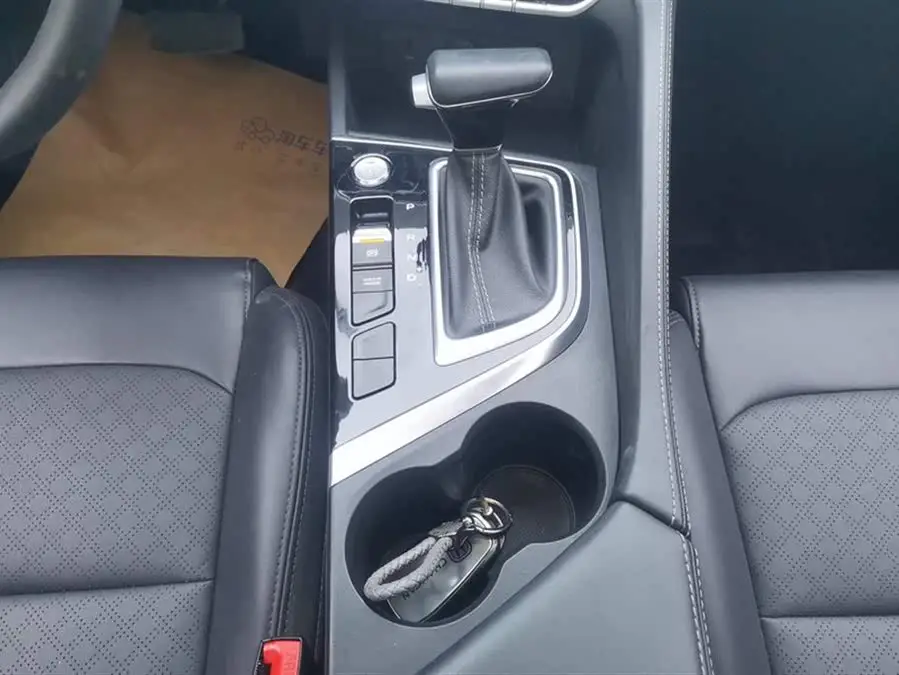 Yidong 2020 Plus Blue Whale NE 1.4T GDI DCT Premium