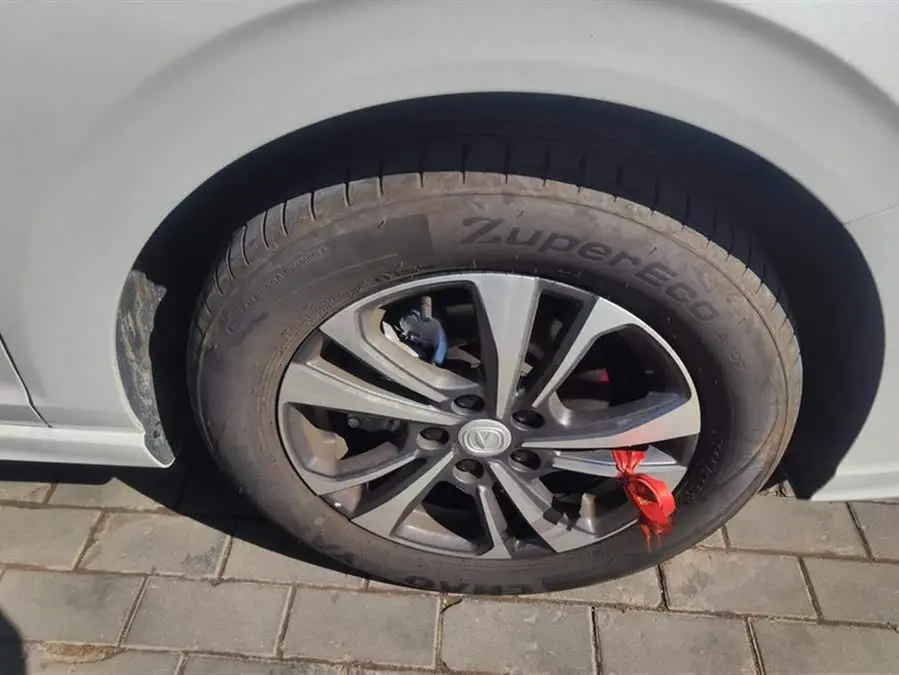 Yidong 2023 Model Changxiang Edition PLUS Blue Whale NE 1.4T GDI DCT Premium Edition