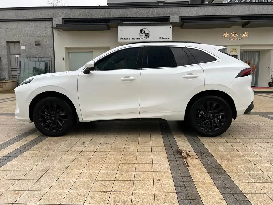 Fengxing T5 EVO 2023 1.5TD DCT Glory Edition