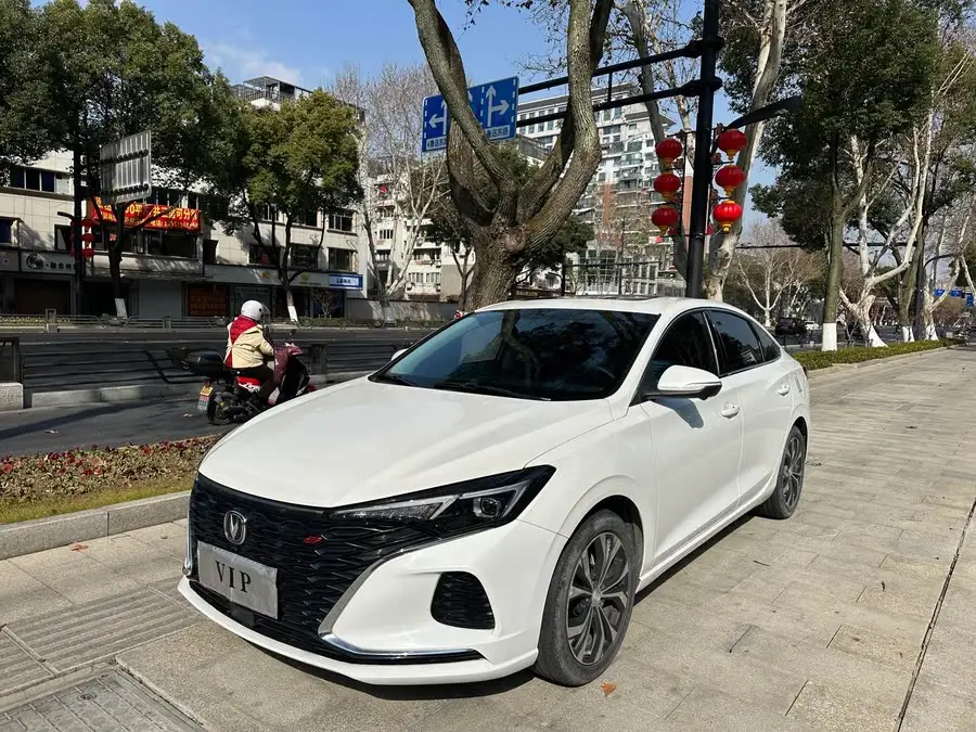 Yidong 2021 Plus Blue Whale NE 1.4T GDI DCT Premium