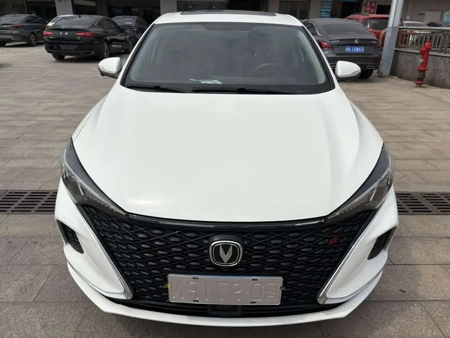 Yidong 2020 PLUS Blue Whale NE 1.4T GDI DCT Fengshang Model