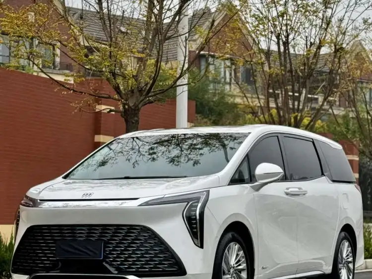 Century 2023 2.0T Six-Seater Yuns World Edition