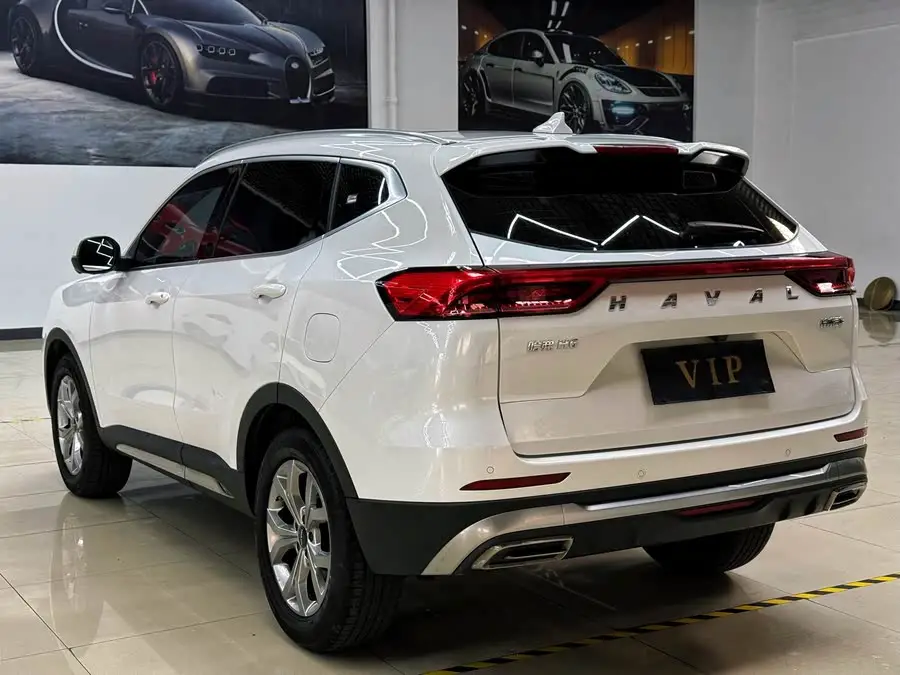Haval H6 2021 National Trend Edition 1.5T Automatic Champion Version