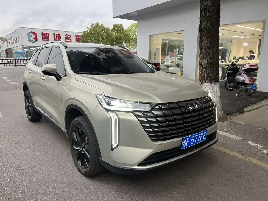 Haval H6 2024 1.5T Two-Wheel Drive Max