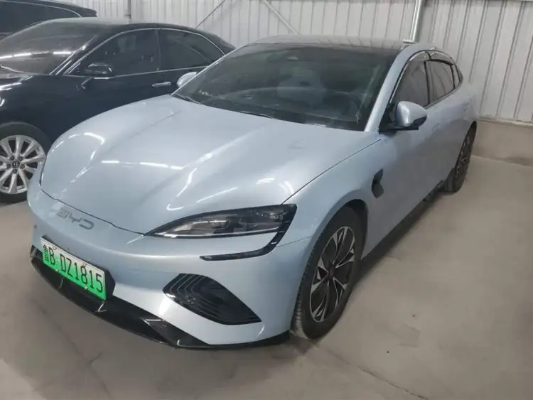 Sealion 2022 Model 550km Standard Range Rear-Wheel Drive Premium Edition