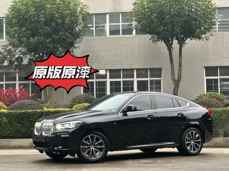 BMW X6 2021 xDrive30i M Sport Package