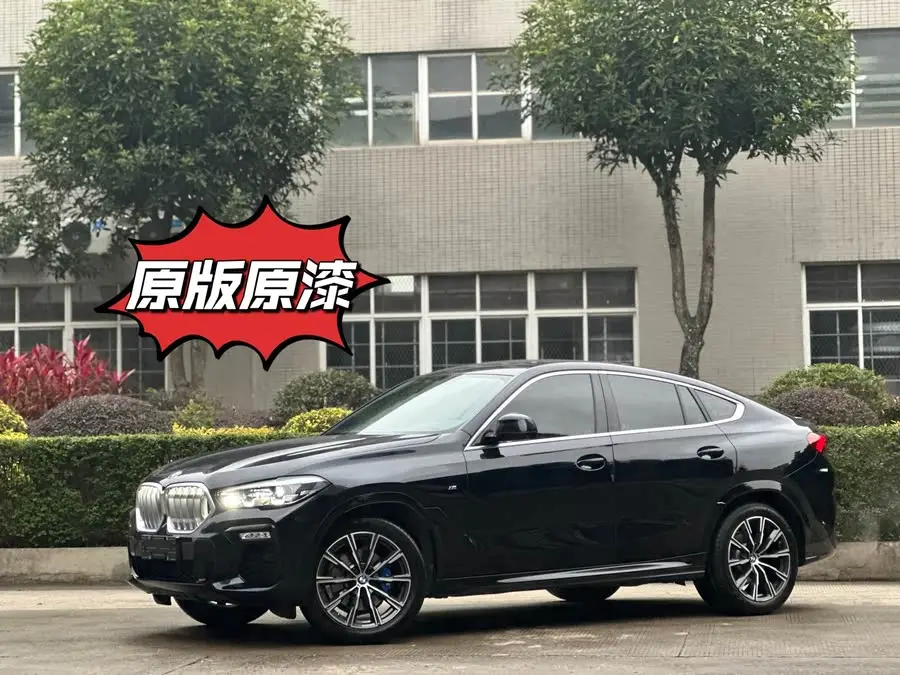 BMW X6 2021 xDrive30i M Sport Package