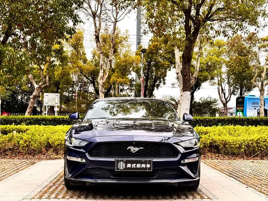 موستانغ 2020 2.3 لتر إيكوبوست