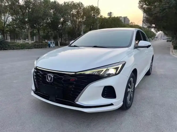 Yidong 2020 Plus Blue Whale NE 1.4T GDI DCT Premium