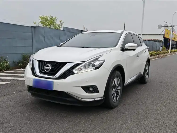 LuoLan 2021 2.5L XL Two-Wheel Drive Intelligent Luxury Version