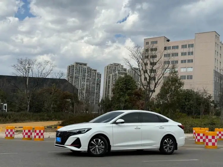 Yidong 2023 Model Changxiang Plus Blue Whale NE 1.4T GDI DCT Premium Edition