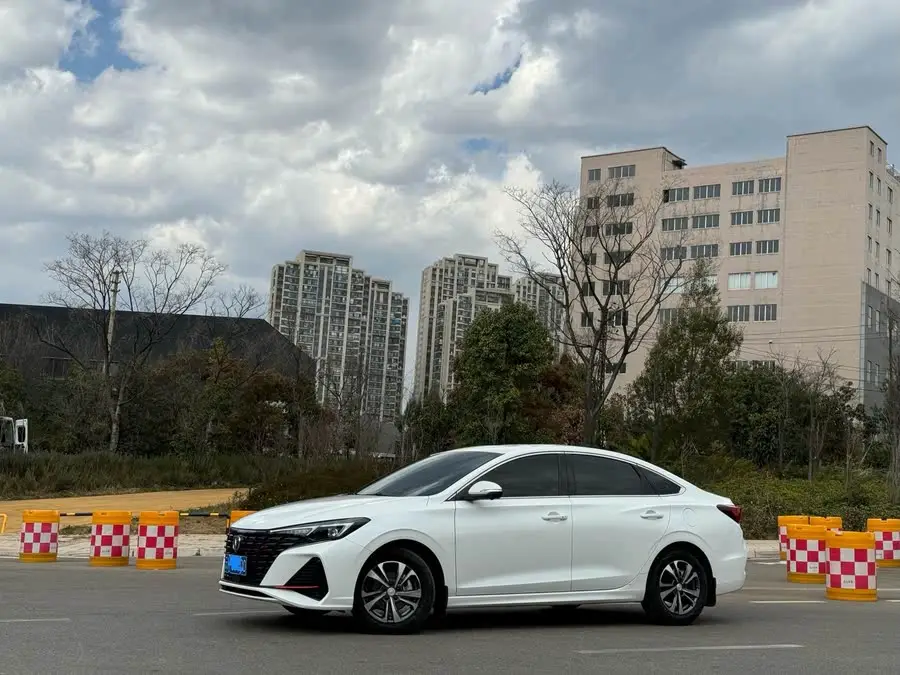 Yidong 2023 Model Changxiang Plus Blue Whale NE 1.4T GDI DCT Premium Edition