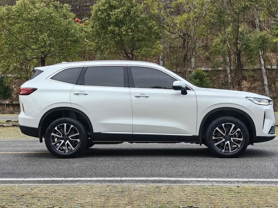 Haval H6 2021 Model Third Generation 1.5T Automatic Two-Wheel Drive Max
