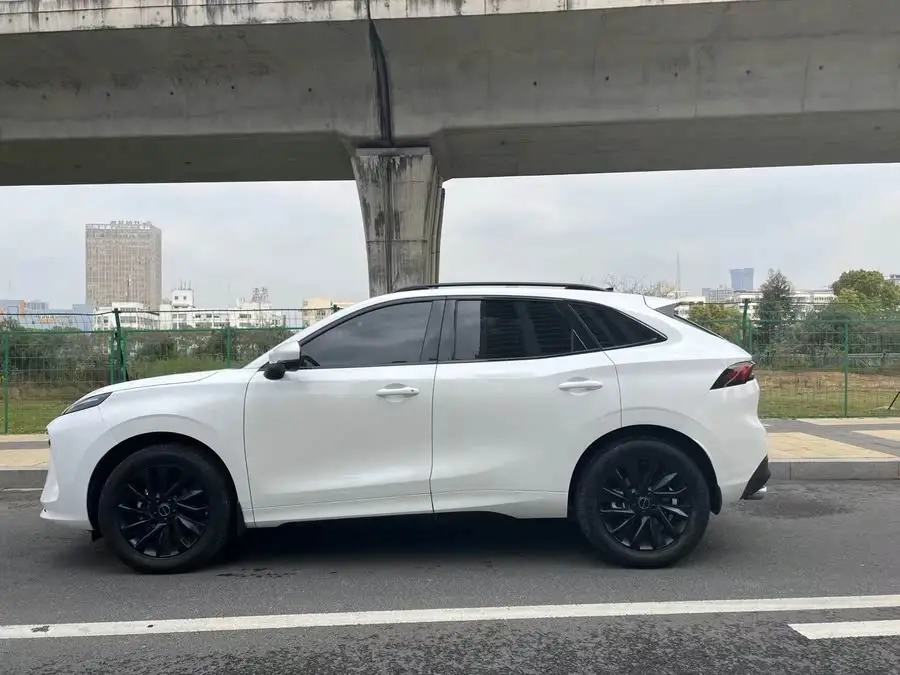 Fengxing T5 EVO 2021 1.5TD DCT Star Edition