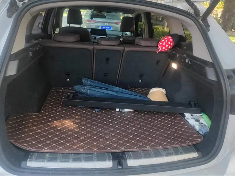 2020 BMW X1 sDrive25Li Leading Edition