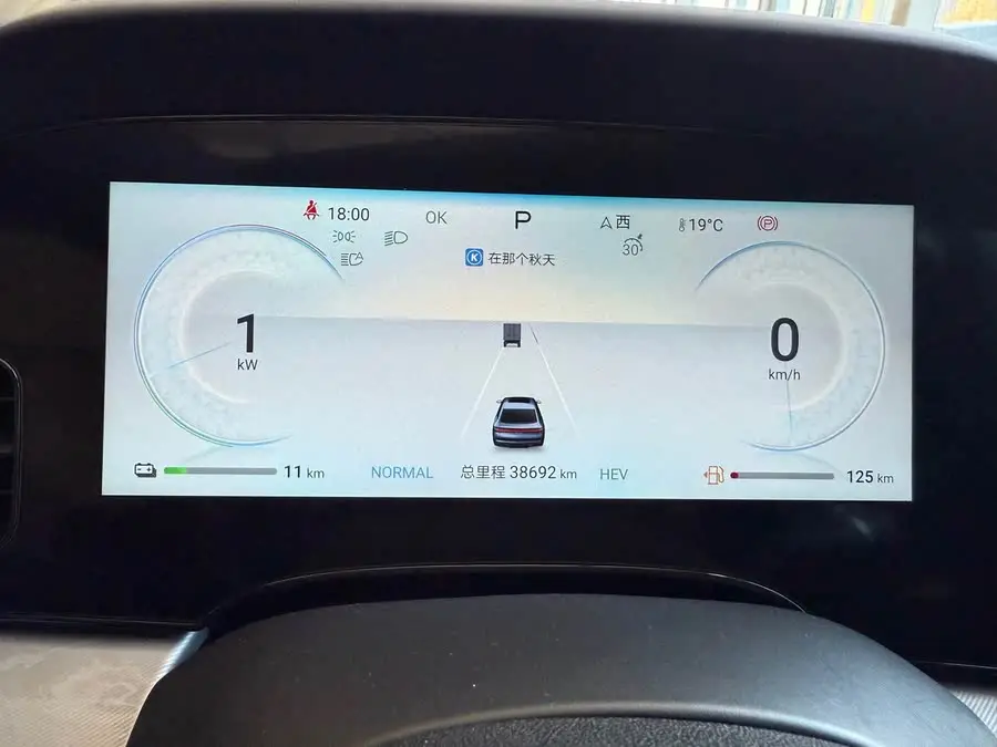 حصان البحر 2024 نسخة الشرف DM-i 1.5L 121 كم نسخة فاخرة