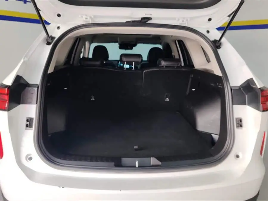 هافال H6 2021 الجيل الثالث 2.0T دفع رباعي أوتوماتيكي ماكس