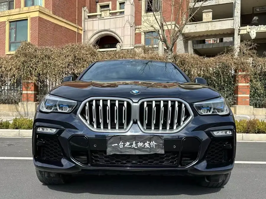 BMW X6 2020 xDrive40i M Sport Package