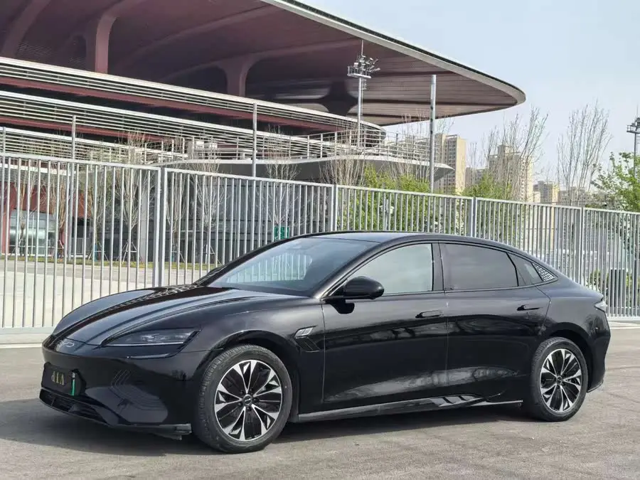 Sealion 2022 Model 550km Standard Range Rear-Wheel Drive Premium Version