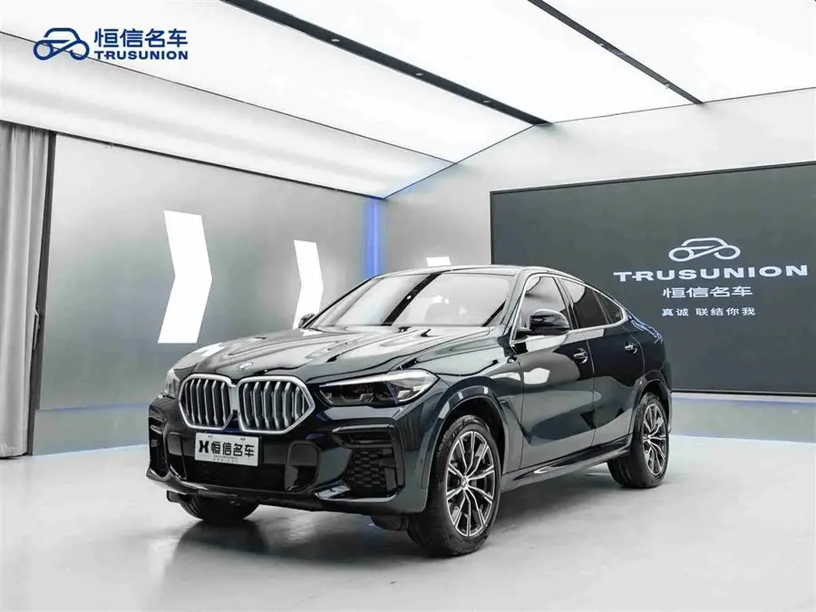 BMW X6 2021 xDrive30i M Sport Package