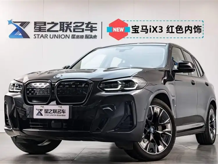 BMW iX3 2023 Leading Model