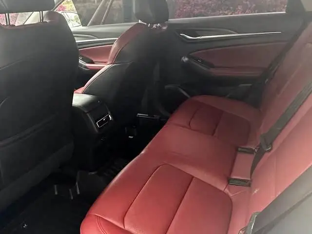 Yidong 2020 Plus Blue Whale NE 1.4T GDI DCT Fengshang Edition