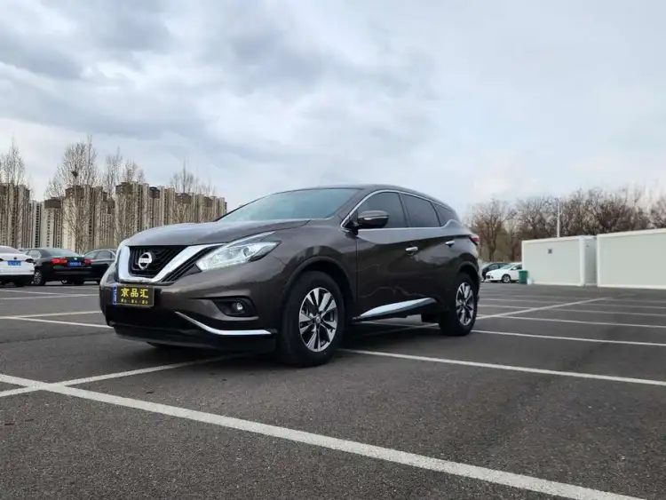 LuoLan 2019 2.5L XL Two-Wheel Drive Intelligent Luxury Version National VI