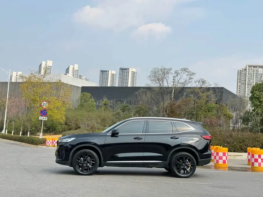 Haval H6 2021 Model Third Generation 2.0T Automatic Four-Wheel Drive Max