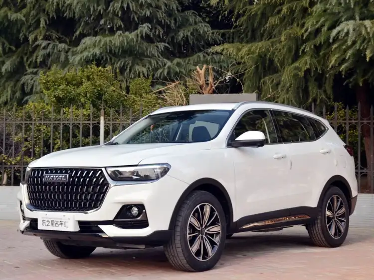 Haval H6 2023 National Trend Edition 1.5T Automatic Champion Version