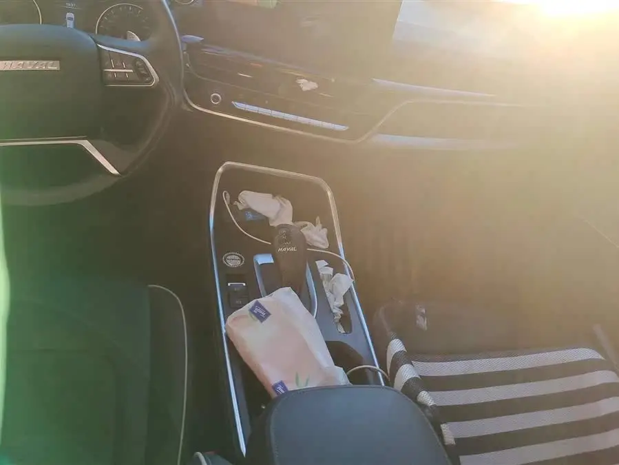 Haval H6 2021 National Trend Edition 1.5T Automatic Urban Version