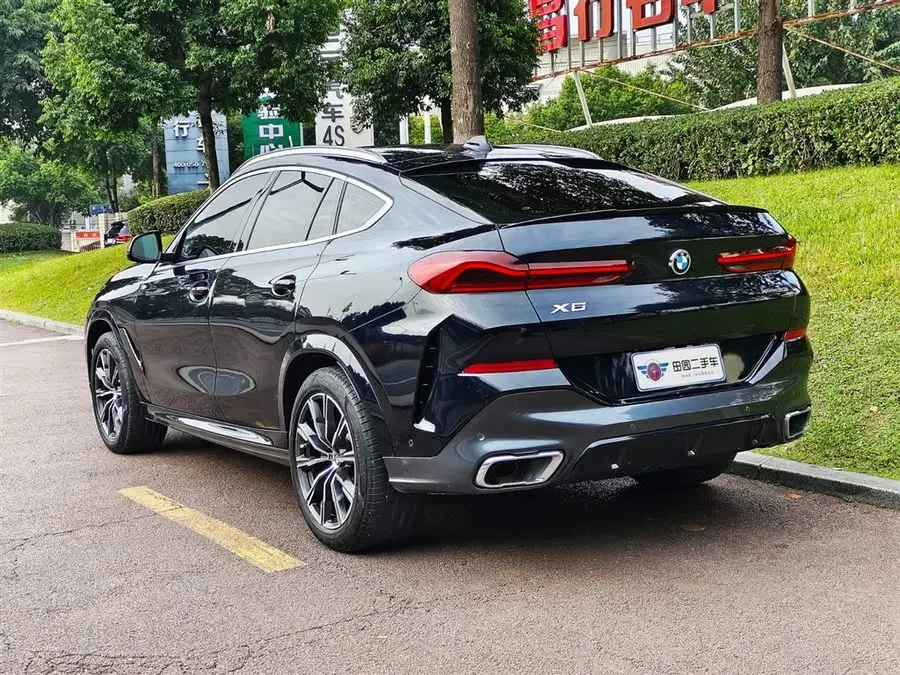 BMW X6 2021 xDrive30i M Sport Package