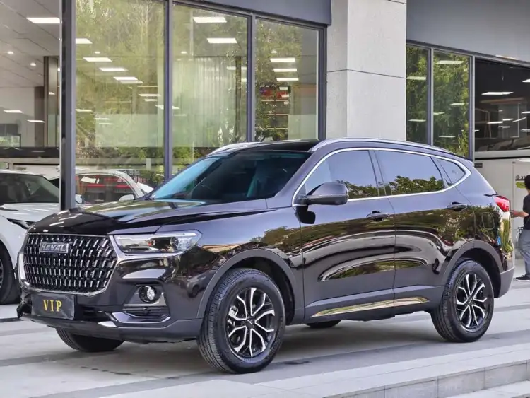 Haval H6 2023 National Trend Edition 1.5T Automatic Urban Version
