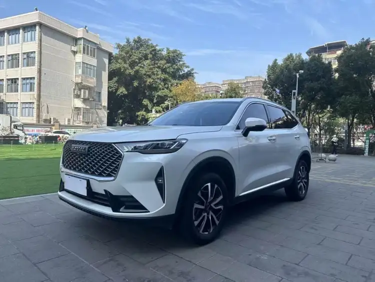 Haval H6 2021 Model Third Generation 1.5T Automatic Two-Wheel Drive Pro
