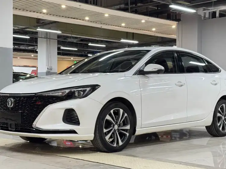 Yidong 2020 PLUS Blue Whale NE 1.4T GDI DCT Flagship Model