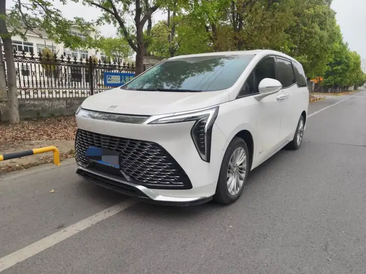 Century 2023 2.0T Seven-Seater Yunshe Edition