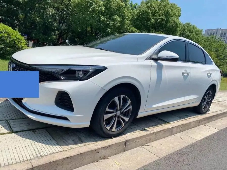 Yidong 2020 PLUS Blue Whale NE 1.4T GDI DCT Premium Edition