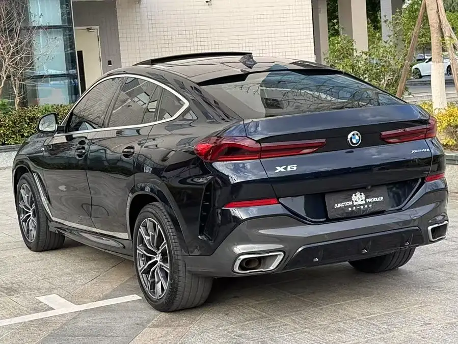 BMW X6 2020 xDrive40i M Sport Package