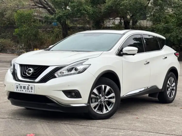 Loulan 2019 2.5L XL Two-Wheel Drive Intelligent Luxury Version National VI