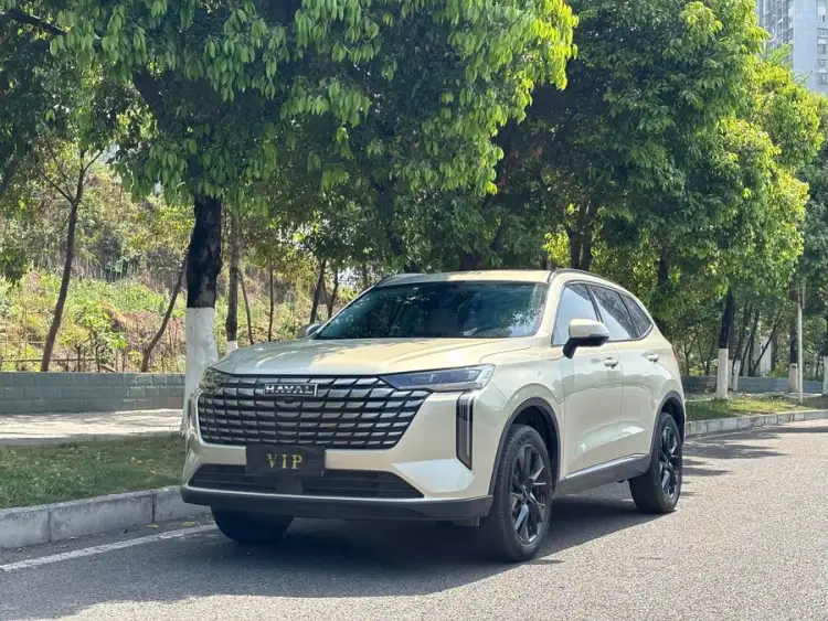 Model Basic Information