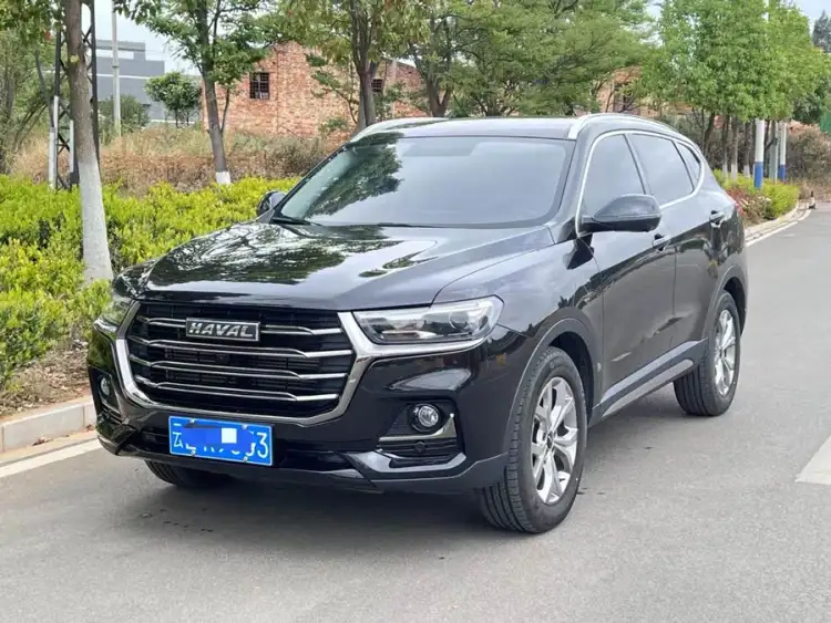 Haval H6 2023 National Trend Edition 1.5T Automatic Champion Version