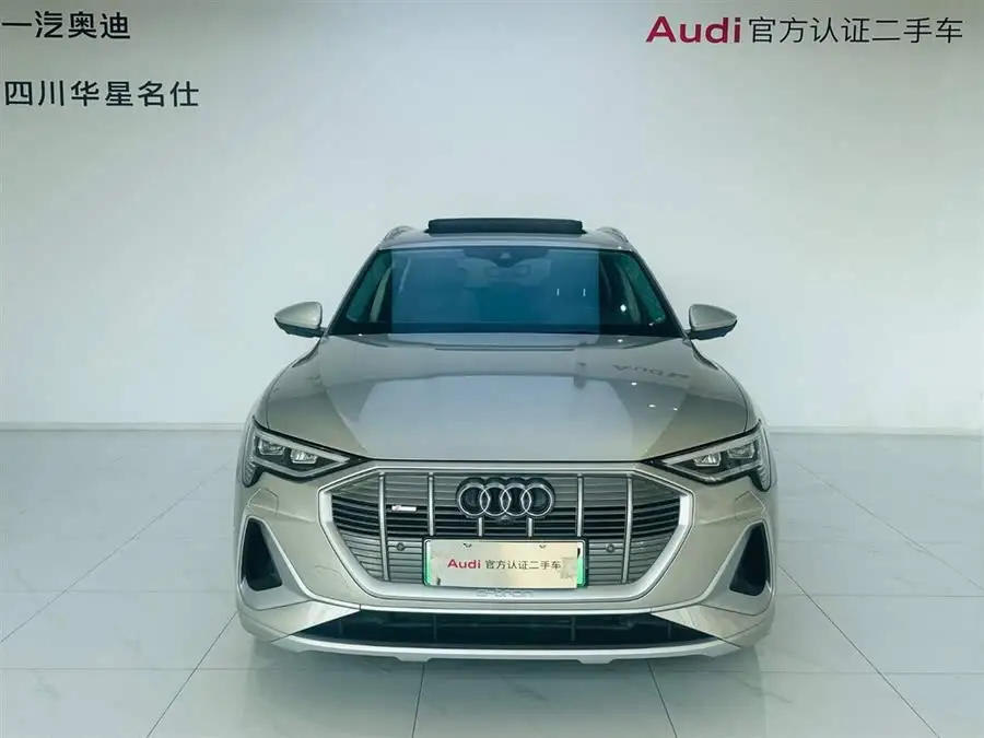 Audi e-tron 2021 50 quattro Selection
