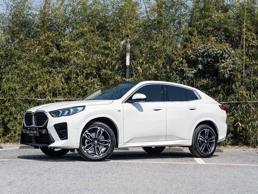 BMW X2 (Imported) 2024 sDrive25i M Sport Package