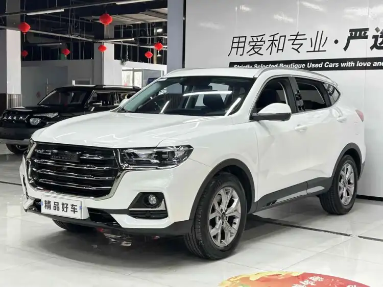 Haval H6 2021 National Trend Edition 1.5T Automatic Champion Version