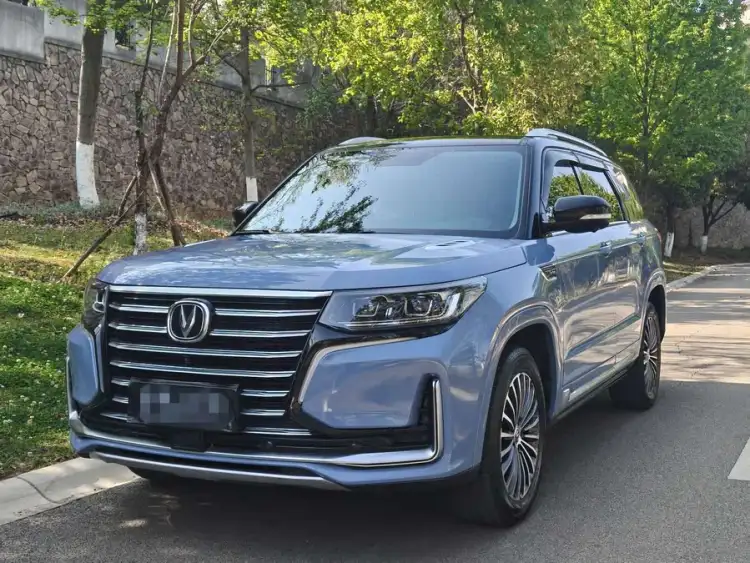 Changan CS95 2019 2.0T Two-Wheel Drive Luxury Edition