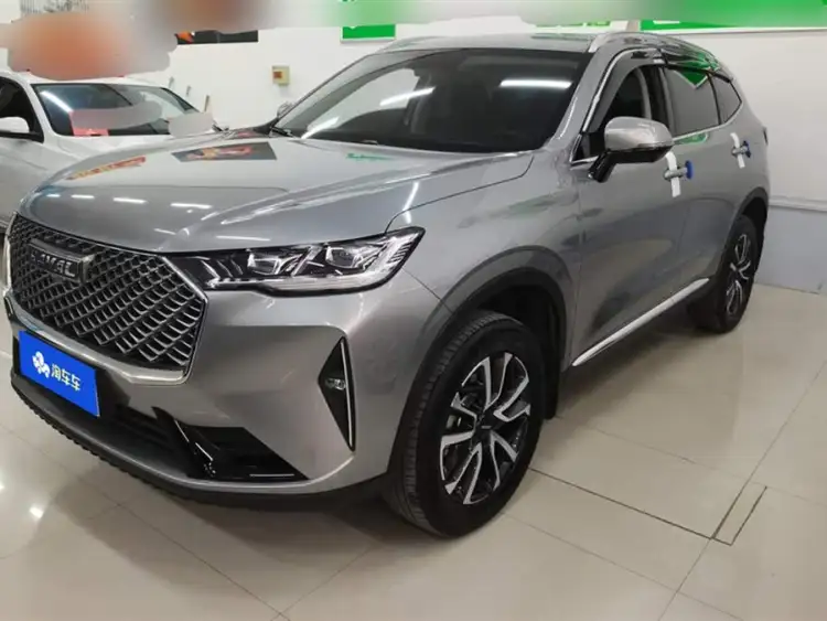 Haval H6 2022 Model Third Generation 1.5T Automatic Two-Wheel Drive Pro