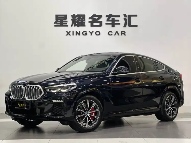 BMW X6 2020 xDrive30i M Sport Package